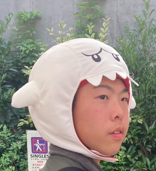 hibino